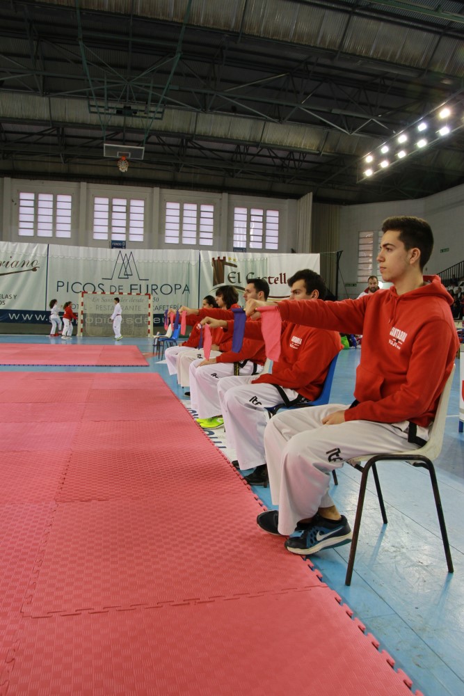 Taekwondo Dic 2016 (211).jpg